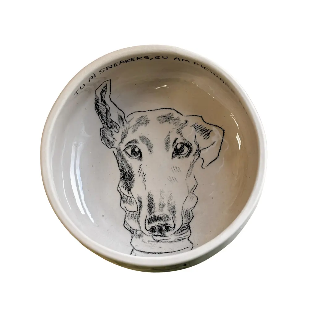 Bol ceramic Hand-Made - ogar