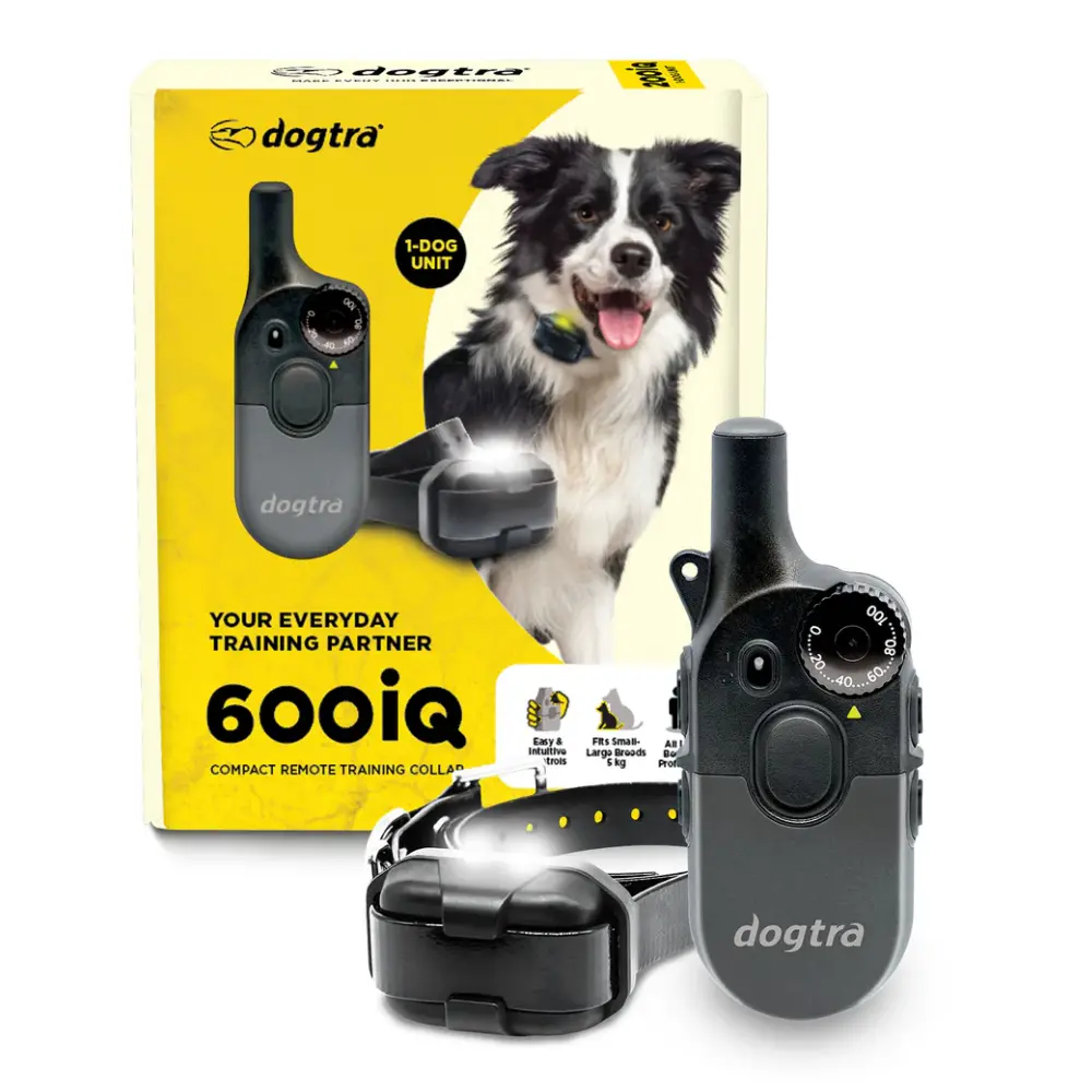 Zgarda electronica 600IQ - 1 caine