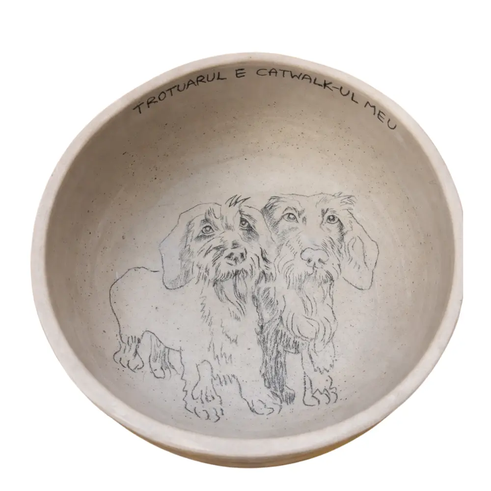 Bol ceramic Hand-Made - wired teckle