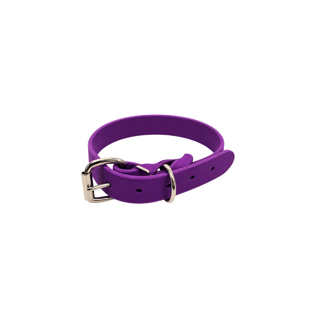 Zgarda din piele simpla - Mov - 55 cm / 25 mm
