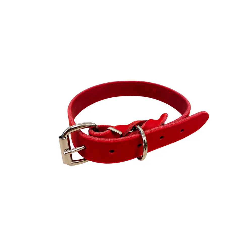 Zgarda din piele simpla - Rosu - 55 cm / 25 mm