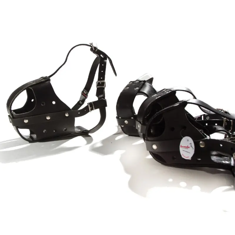 Botnita din piele cu plastic Rottweiler 2