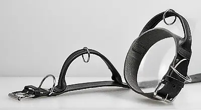 Zgarda din piele Frabo 50mm/60cm
