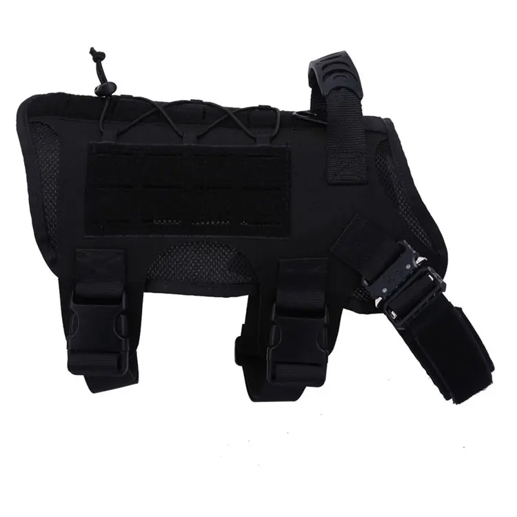 Ham K9Romania - Image 2