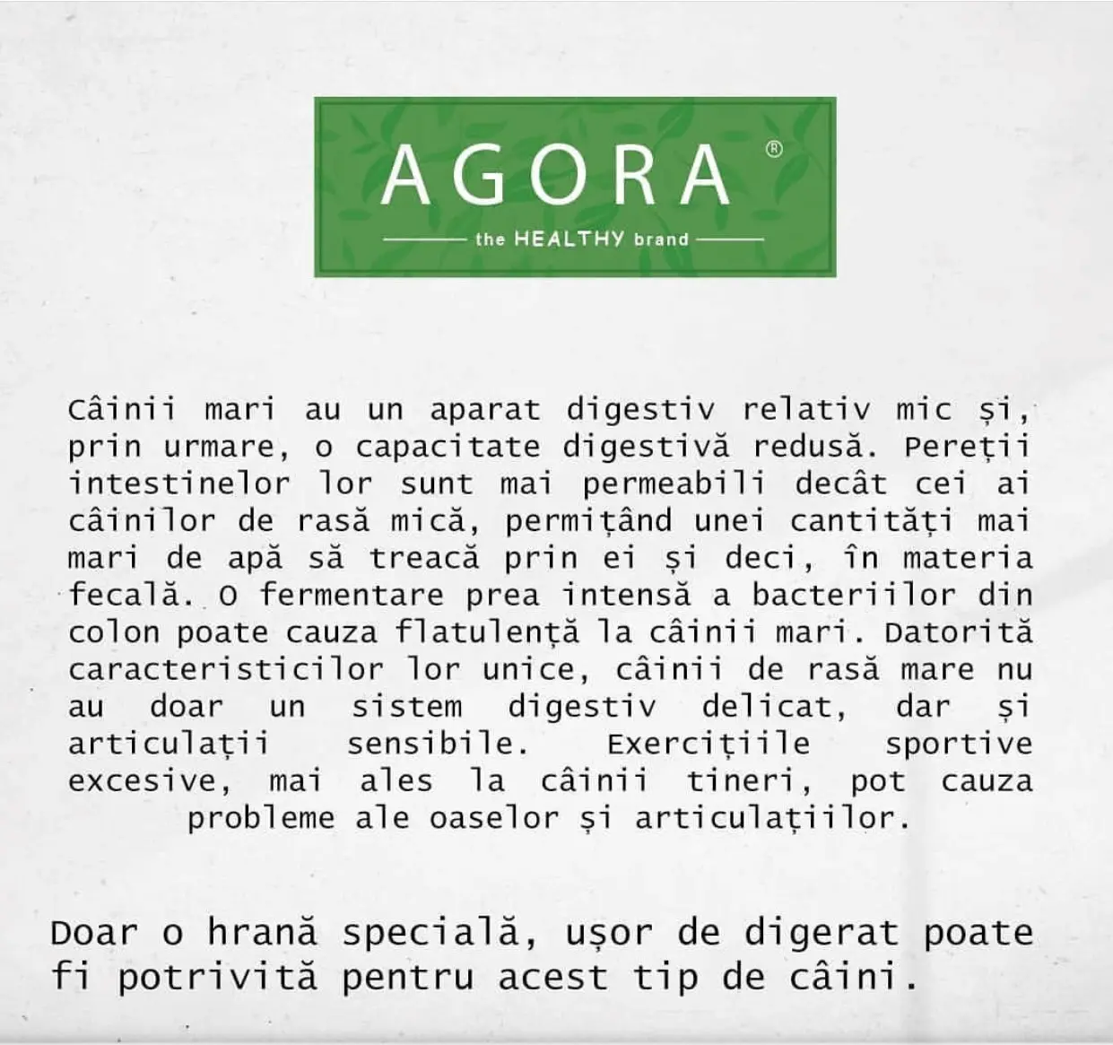 AGORA Maxi Adult 12 kg - Image 3