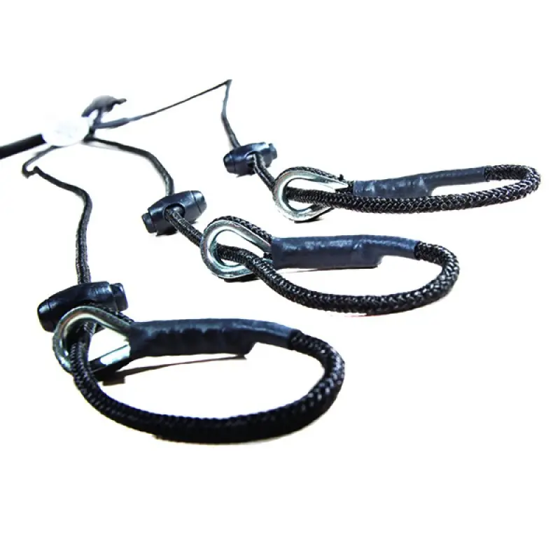Lesa strangulanta