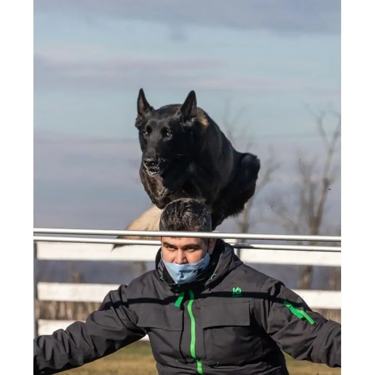 Geaca training IQ - Image 2