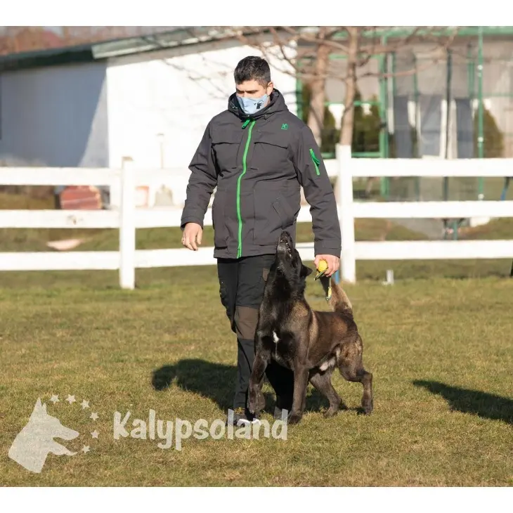 Geaca training IQ - Image 3