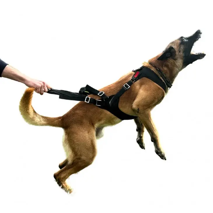 Ham  IQ Dogsport Pro-Cobra