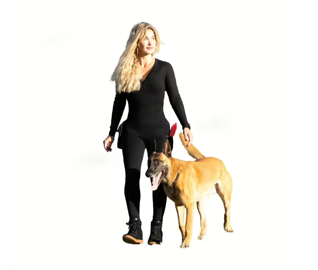 IQ Performance Leggings