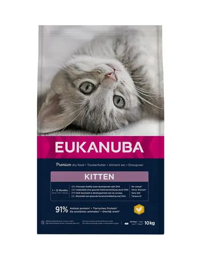 EUKANUBA Cat Kitten All Breeds Healthy Start Chicken & Liver Hrana uscata pentru pisici junior, cu pui si ficat 10 kg