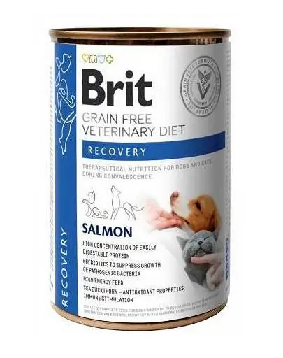 BRIT Veterinary Diet Recovery Salmon hrana refacere pentru caini si pisici 24x400 g