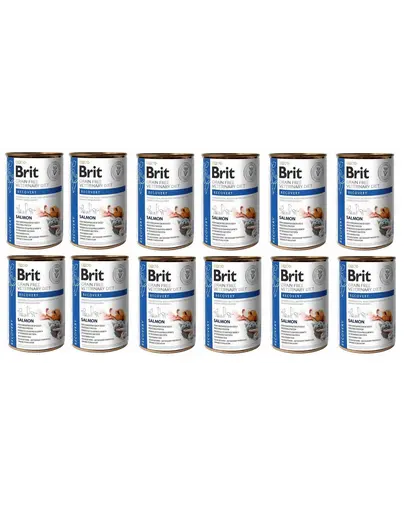 BRIT Veterinary Diet Recovery Salmon hrana dietetica pentru caini si pisici 12x400 g