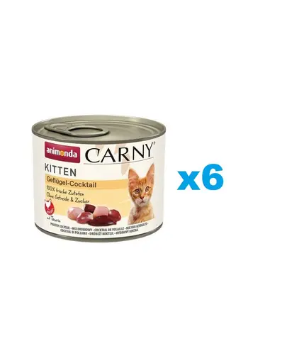 ANIMONDA Carny Kitten Poultry Cocktail conserva 6x200 g cocktail de pasare pentru pisoi