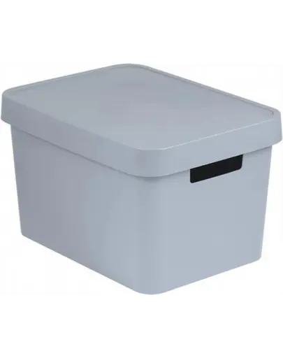 CURVER Cutie depozitare cu capac INFINITY 17 L gri deschis