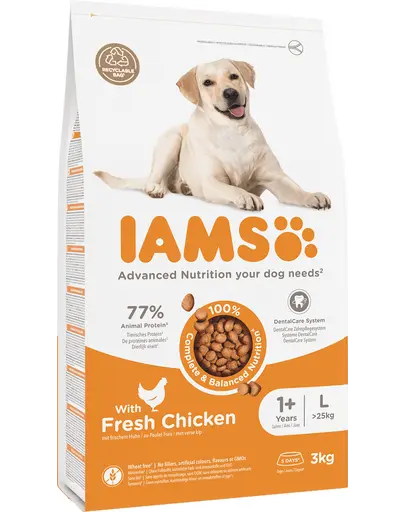 IAMS ProActive Health Adult Large Breed Chicken Hrana uscata caini adulti talie mare, cu pui 3 kg