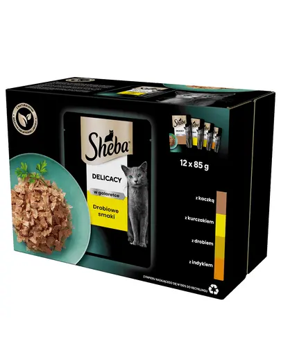 SHEBA Delicacy in Jelly Set hrana umeda pentru pisici adulte, cu carne de pasare in aspic 12 x 85g