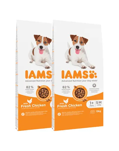 IAMS ProActive Health Adult Small & Medium Breed Chicken 24 kg (2 x 12 kg) hrana caini talie mica