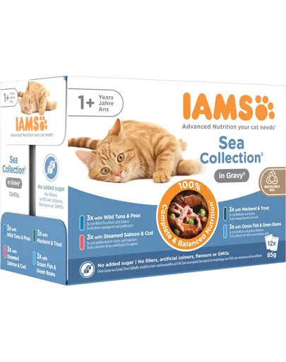 IAMS Cat Delights Adult All Breeds Sea In Jelly Pouch plic pisici 12x85 g in aspic