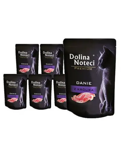 DOLINA NOTECI Premium hrana cu iepure pentru pisici 10x85 g