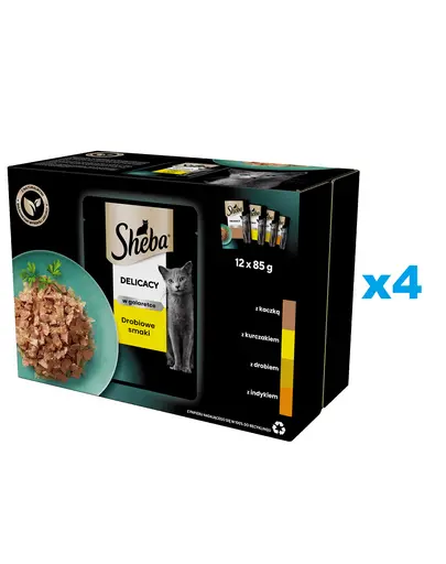 SHEBA Delicacy pachet plicuri 48x85 g hrana umeda pisici adulte, carne de pasare in aspic