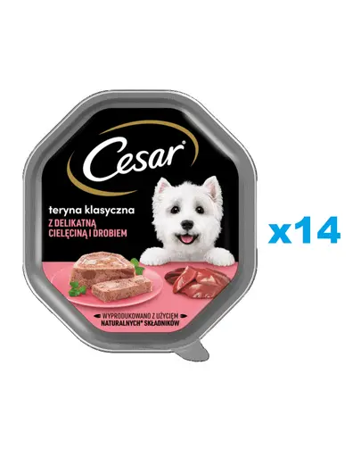 CESAR tavite hrana caini adulti 14x150 g terrina cu vitel si pasare