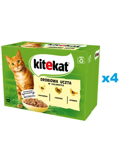 KITEKAT Set mancare umeda pisici adulte, pui, curcan si pasare in aspic 48x85 g