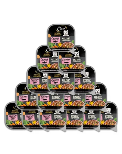 CESAR tMancare umeda caine, somon imbogatit cu ulei de peste, spanac si morcovi 16x100 g