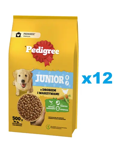 PEDIGREE Junior 12x500 g Set hrana catei talie medie si mare, pasare si legume