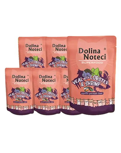 DOLINA NOTECI Superfood Plicuri hrana umeda pisici, cu homar si creveti 10x85 g