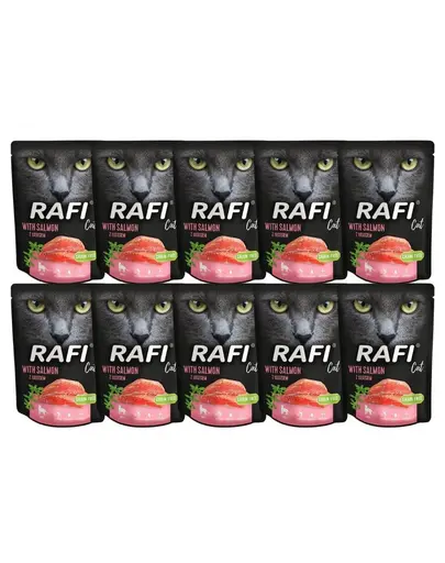 DOLINA NOTECI Rafi Cat mancare umeda pisici, cu somon 10x300 g