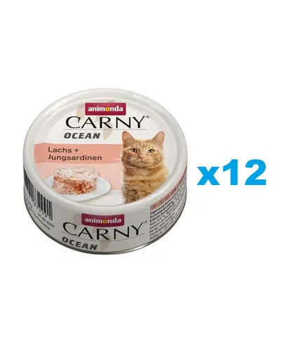 ANIMONDA Carny ocean Conserva hrana pisica, cu somon si sardine 12x800g