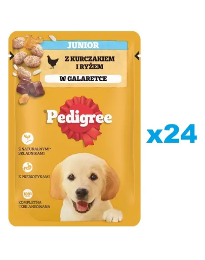 PEDIGREE Junior 24x100g Hrana umeda cu pui si orez pentru catei