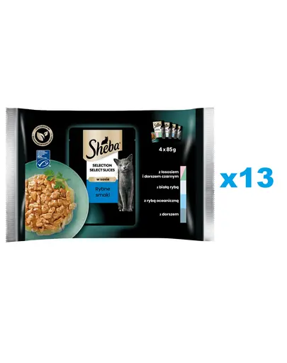 SHEBA Selection Select Slices 52x85g plicuri in sos pentru pisici adulte