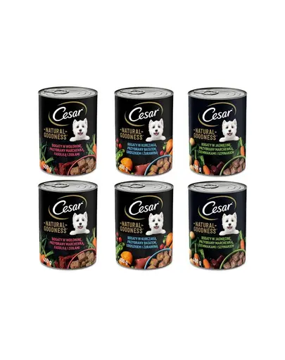 CESAR Hrana umeda pentru caini adulti, mix carne si legume 6x400g