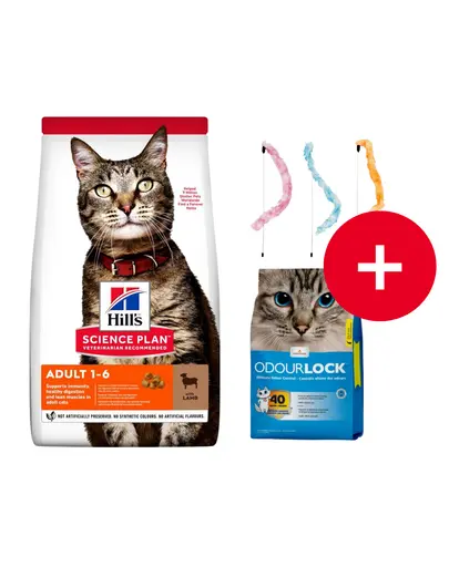 HILL'S Science Plan Feline Adult with Lamb 10kg dla dorosłych kotow z jagniecina + zwirek i zabawka dla kota GRATIS