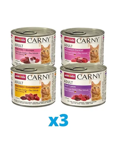 ANIMONDA Carny Set conserve hrana umeda pentru pisici, mix sortimente 12 x 200 g