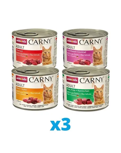 ANIMONDA Carny Conserve hrana umeda pisici, mix sortimente 12 x 200 g