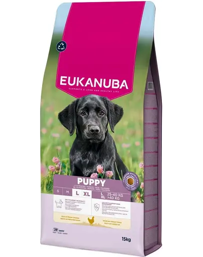EUKANUBA Puppy Large Breeds Chicken 15 kg hrana catei rase mari, bogata in pui proaspat