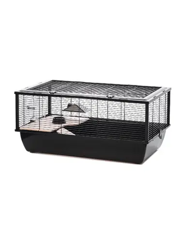 INTER-ZOO Bob Wood Cusca Rozatoare 78 cm