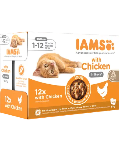 IAMS Advanced Nutrition Kitten Chicken in Gravy Pouch 12x85g hrana umeda pisoi, pui in sos