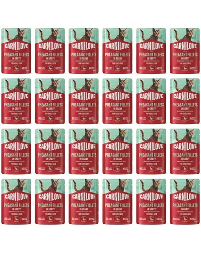 Hrana umeda pisici CARNILOVE Cat Pouch Gravy 24x85 g fazan si frunze de zmeur