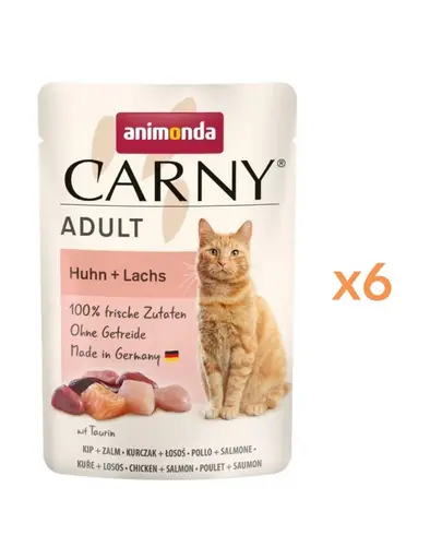 ANIMONDA Carny Adult Plic cu pui si somon 6 x 85 g hrana umeda pentru pisici