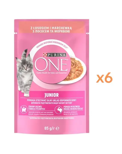 PURINA ONE Junior Cat 6x85 g hrana umeda pentru pisoi, cu somon si morcov