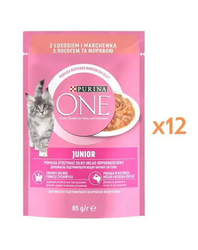 PURINA ONE Junior Cat 12x85 g hrana umeda pentru pisoi, cu somon si morcov