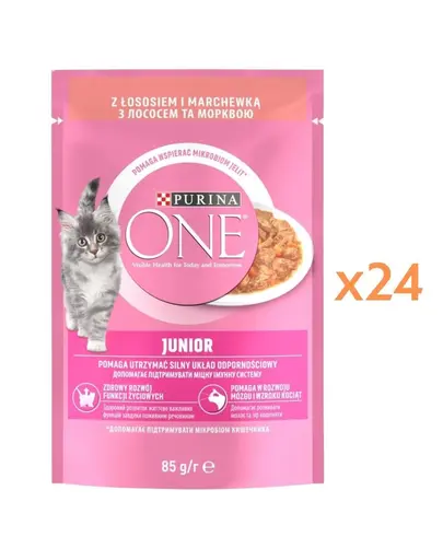PURINA ONE Junior Cat 24x85 g hrana umeda pentru pisoi, cu somon si morcov