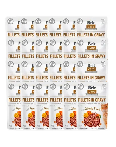 BRIT Care Fillets in Gravy Mix 48x85 g hrana umeda pisici, fileuri cu rata si somon in sos