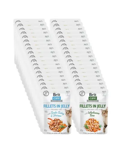 BRIT Care Cat Fillets in Jelly Mix 48x85 g hrana umeda pisici, curcan cu creveti si ton