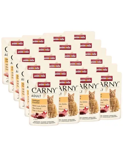ANIMONDA Carny Adult hrana umeda pentru pisici cu cocktail de pasare 24x85 g