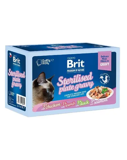 BRIT Premium by Nature Cat Delicate Fillets in Gravy Family Plate Sterilised 24x85 g hrana umeda pisici sterilizate, fileuri in sos
